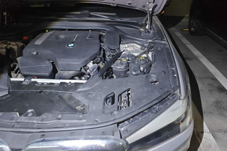 Used BMW 5 Series 2018 528Li Launch Special Edition
