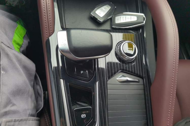 Used Geely Auto Monjaro L 2021 2.0TD DCT EVO Two-Wheel Drive Prestige Version
