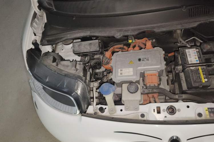 Used ORA White Cat 2020 305 km Luxury Version
