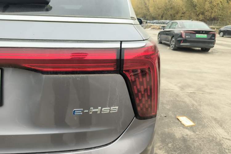Used Hongqi E-HS9 2022 690 km Range Flagship Edition Six Seats
