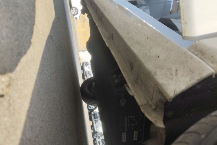 Used  Panda 2024 Panda Mini 200km Endurance Bear
