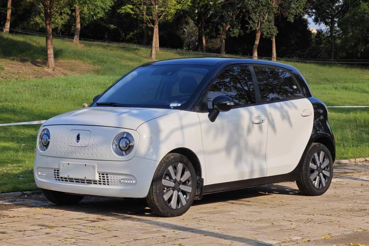 Used ORA Black Cat 2021 351 km Luxury Version
