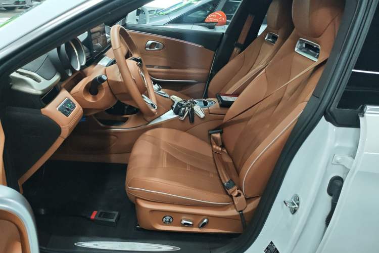 Used ORA Lightning Cat 2022 555 km Luxury Edition
