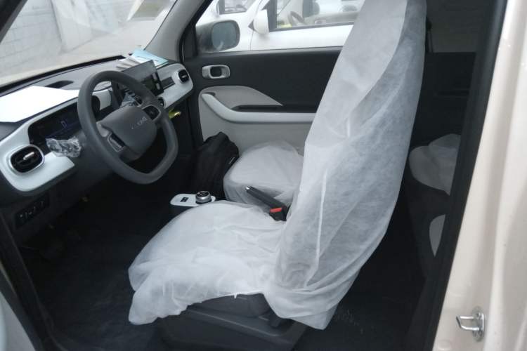 Used  Panda 2025 210 km – Yuanqi Bear