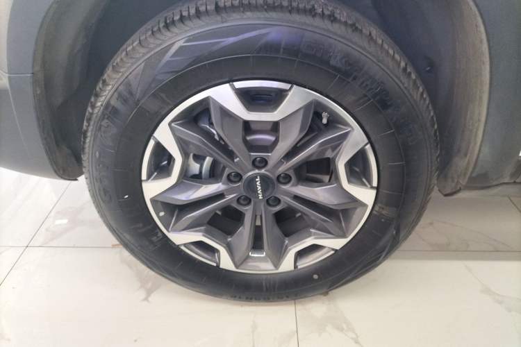 Used Haval DARGO 2024 2.0T DCT Chinese Rural Dog Edition