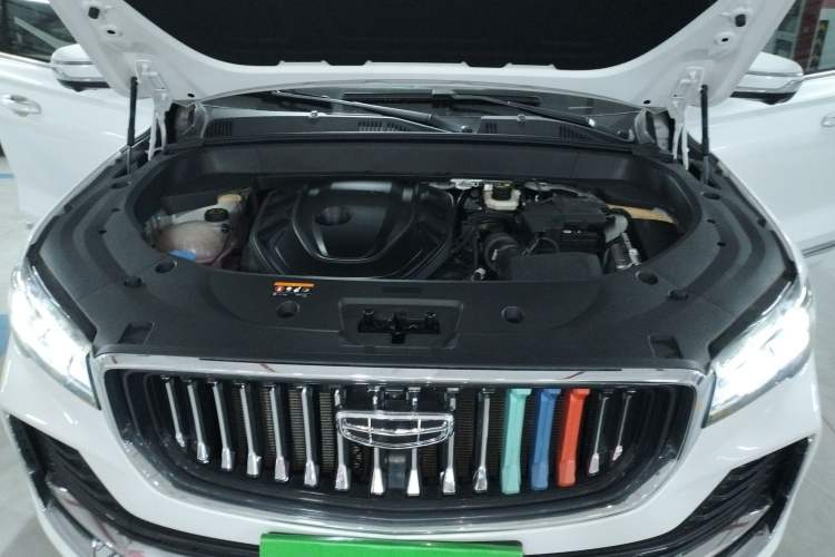 Used Geely Auto Monjaro L 2021 2.0TD DCT EVO Two-Wheel Drive Prestige Version
