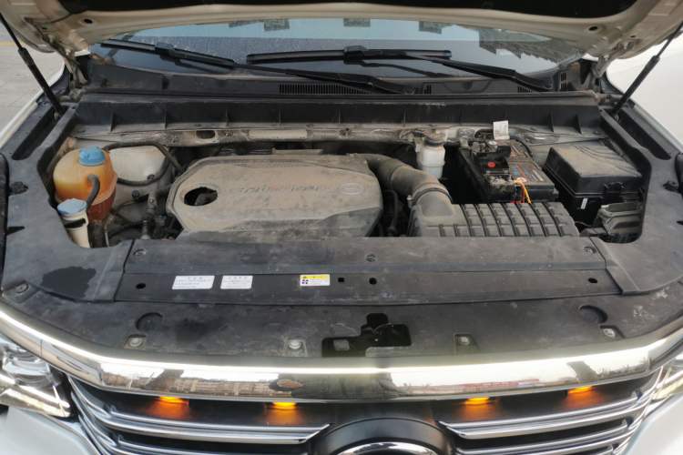 Used GAC Trumpchi GS8 2017 320T Two-Wheel Drive Luxury Smart Connectivity Version (7 Seats)
