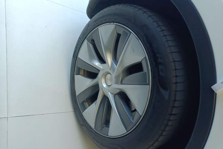 Used Tesla Model Y 2022 Rear-Wheel-Drive Version
