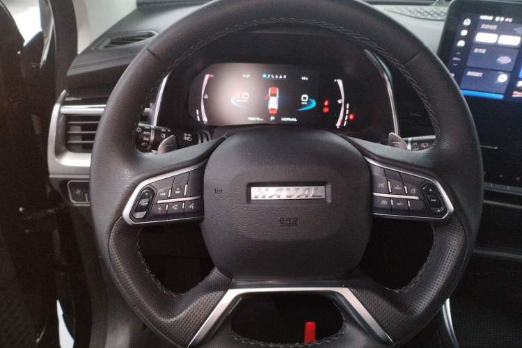 Used Haval H6 2021 National Trend Edition 1.5T Automatic Champion Version
