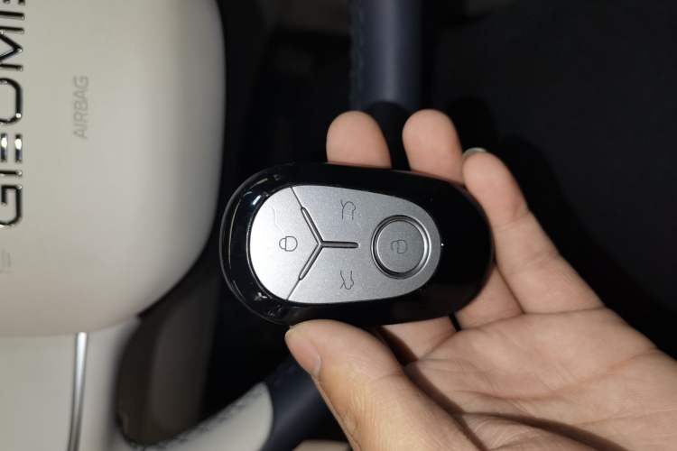 Used  Geome 2025 310km Youth Edition
