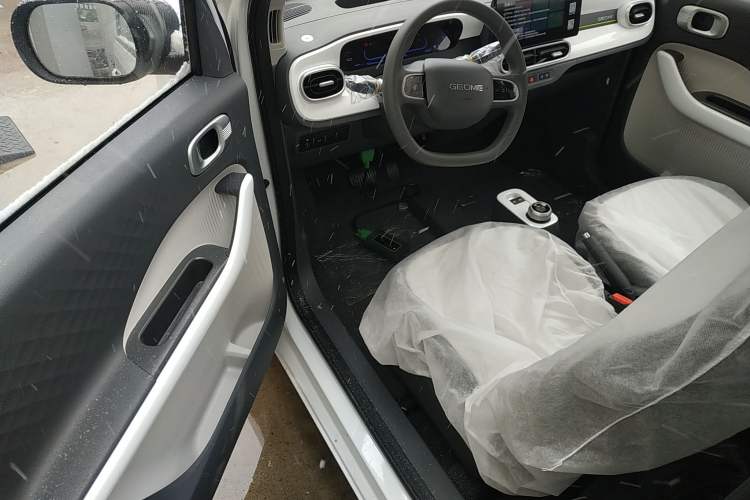 Used  Panda 2025 210 km – Yuanqi Bear
