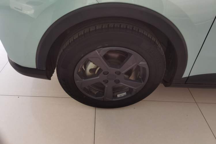 Used Geometry E Firefly 2022 401 km Linglong Tiger 4 Seats
