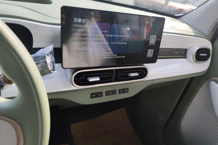 Used  Panda 2025 210 km – Yuanqi Bear