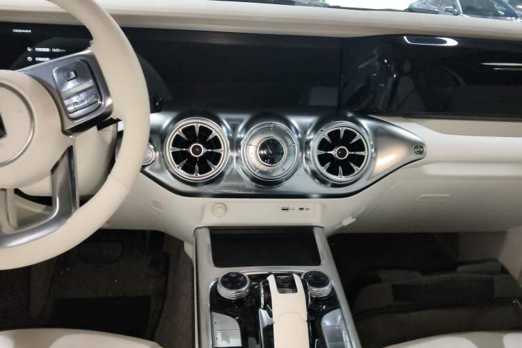 Used  Tank 300 2021 2.0T Cyber Tank
