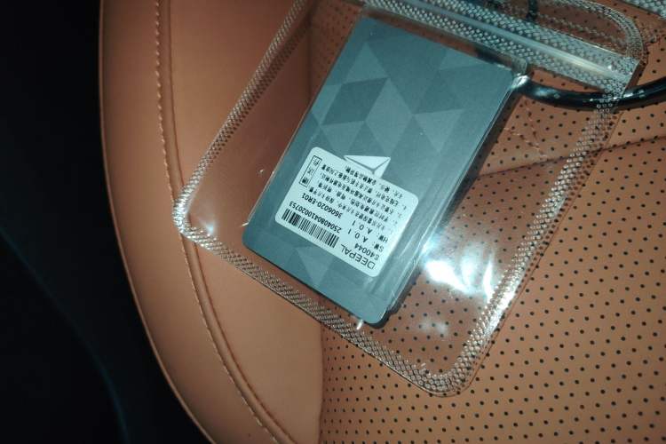 Used  S05 2026 Model 520Plus Pure Electric Edition
