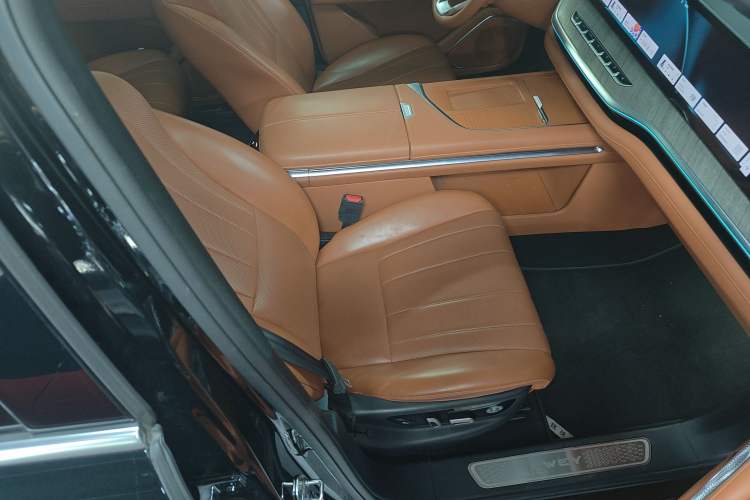 Used Wey Lanshan 2023 Two-Wheel Drive Long-Range Version