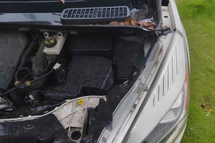 Used Ford Kuga 2017 EcoBoost 180 Two-Wheel-Drive Tiger Leap Model
