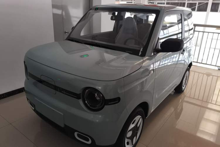 Used  Panda 2025 210 km – Yuanqi Bear