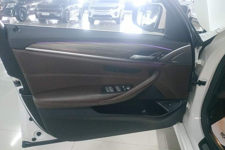 Used BMW 5 Series 2018 Revised Version 530Li Leading Edition Luxury Package
