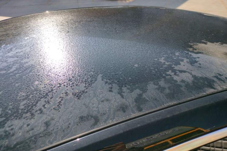 Used  A07 2024 Pure Electric "True Fragrance" Edition 515 Prestige Model