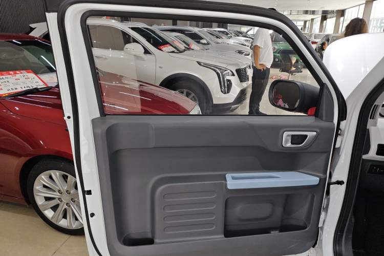 Used  Panda 2024 Panda Mini 200km Endurance Bear
