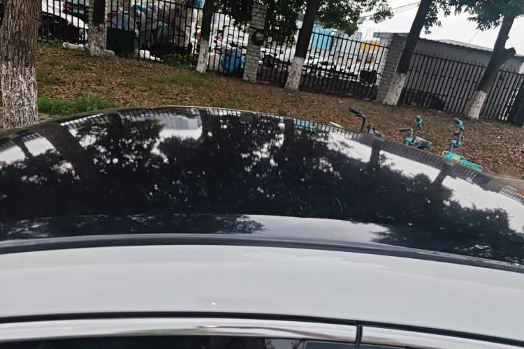 Used Honda Civic 2019 180TURBO CVT Shangyue Edition China VI Emission Standard
