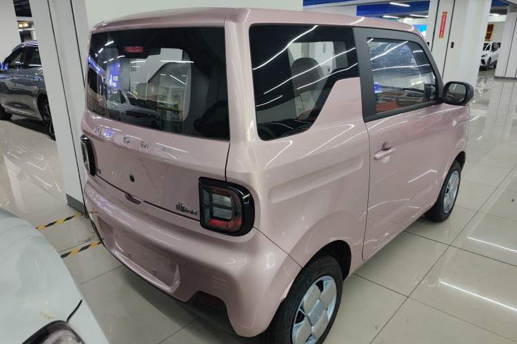 Used  Panda 2024 Panda Mini 200km Longteng PRO Edition
