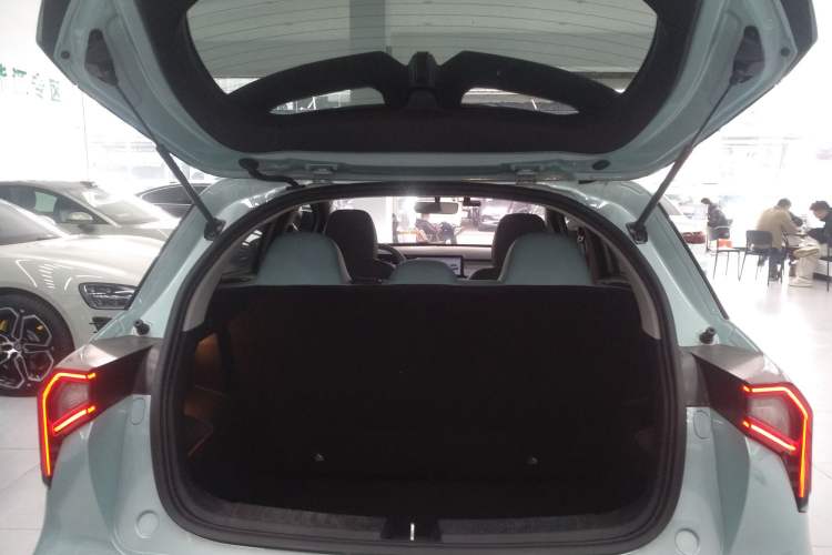 Used Geometry E Firefly 2024 401 km Fluorescent
