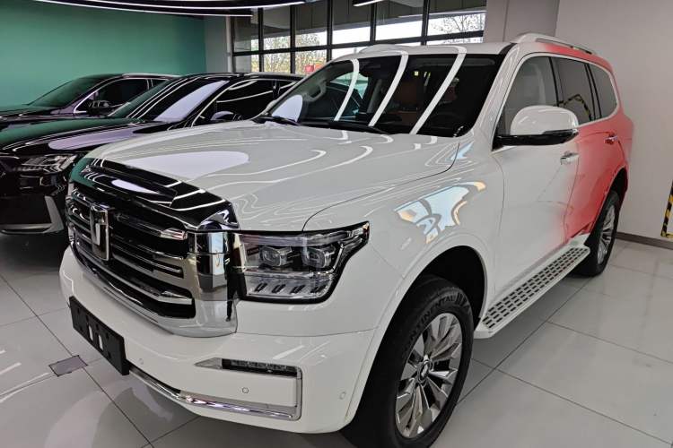 Used Tank 500 New Energy The 2025 Hi4-Z is definitely a hit.