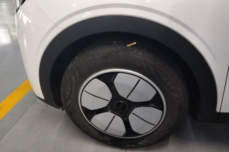 Used  Geome 2025 310km Youth Edition
