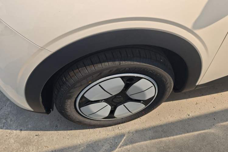 Used  Geome 2025 310km Youth Edition
