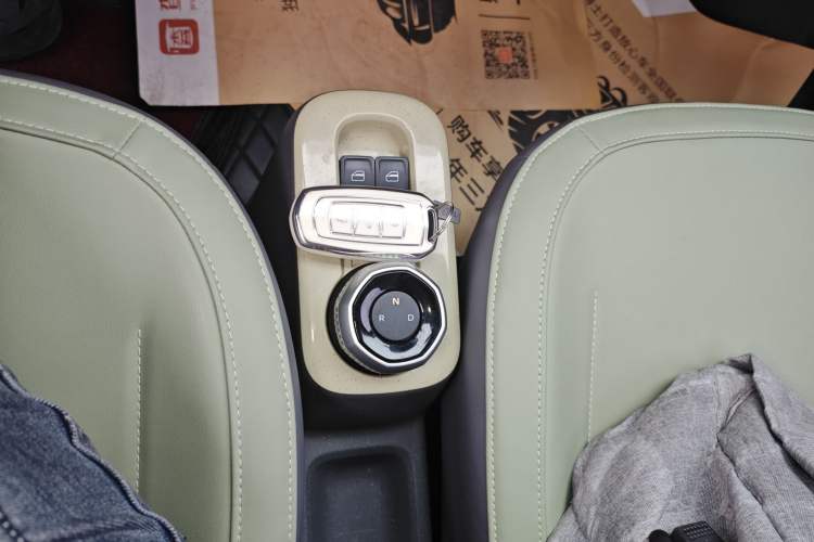 Used  Panda 2024 200km Panda Rider