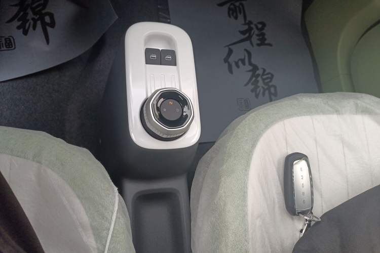 Used  Panda 2025 210km Panda Rider
