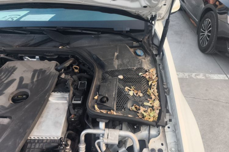 Used Mercedes-Benz C-Class 2017 Facelift C 200 L Sport Edition
