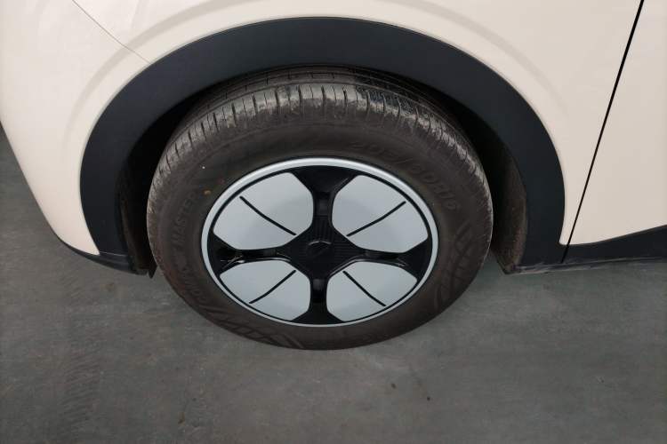 Used  Geome 2025 310km Youth Edition
