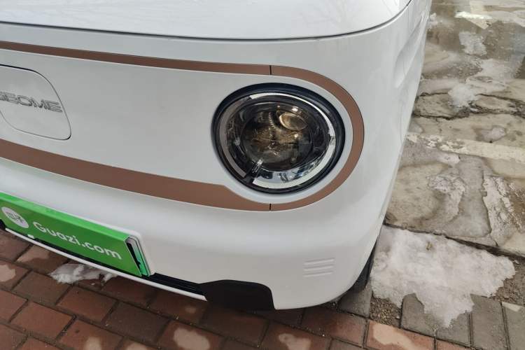 Used  Panda 2024 Panda Mini 200km Endurance Bear
