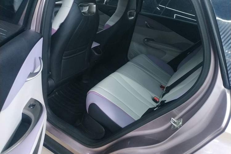 Used BYD Dolphin 2021 405 km Free Version