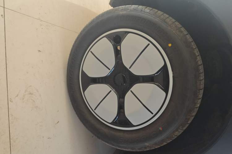 Used  Geome 2025 310km Youth Edition