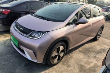 Used BYD Dolphin 2023 420 km Fashion Edition
