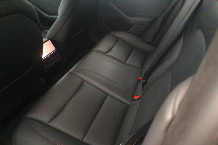 Used Tesla Model 3 2023 Long-Range All-Wheel-Drive Version
