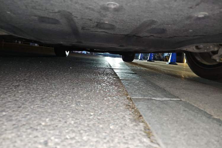 Used  LS6 2023 Max Standard Edition
