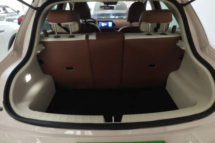 Used ORA Good Cat 2022 Morandi Edition 400km Standard Range Luxury Version Lithium Iron Phosphate