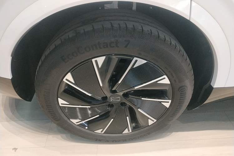 Used  07 2024 Max Pure Electric Edition