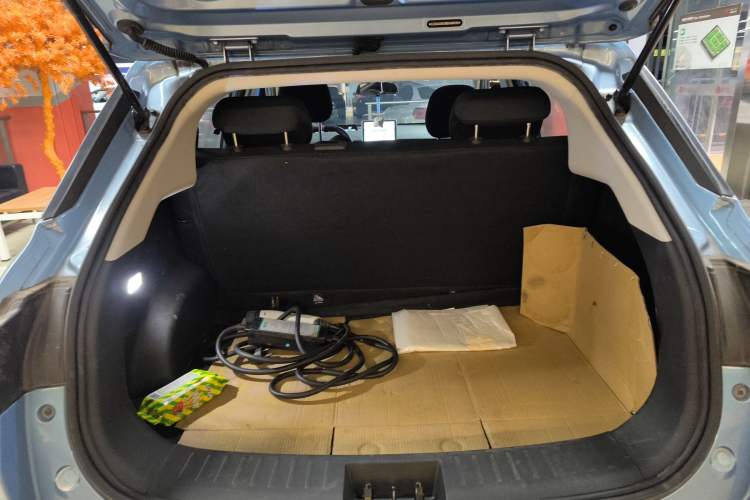 Used NETA V 2021 Standard Range Upgrade Model
