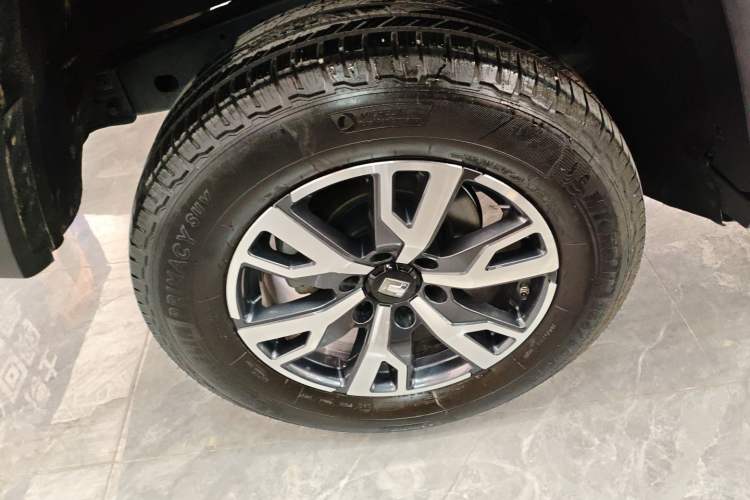 Used Tank 300 2024 2.0T Crosser
