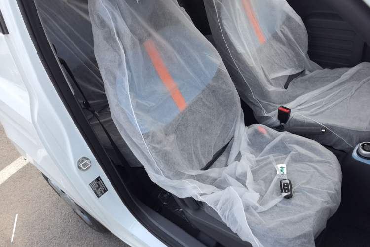 Used  Panda 2024 Panda Mini 200km Endurance Bear
