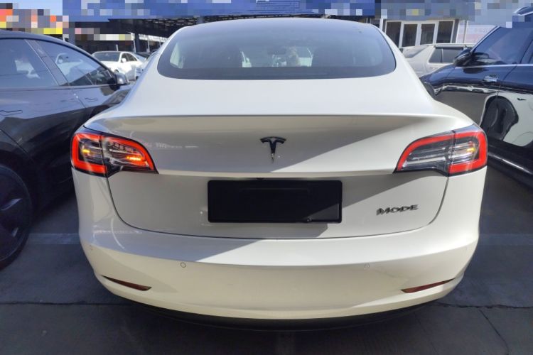 Used Tesla Model 3 2019 Standard Range Rear-Drive Upgraded Version
