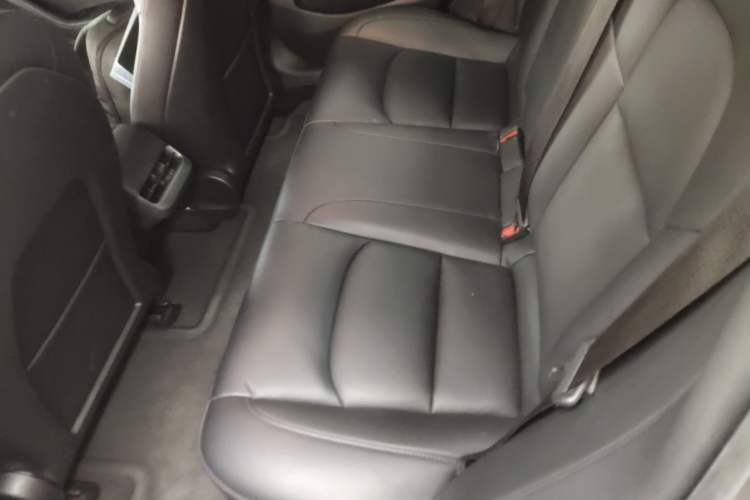 Used Tesla Model 3 2020 Revised Version Standard Range Rear-Wheel Drive – Upgraded Edition
