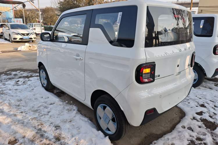 Used  Panda 2024 Panda Mini 200km Endurance Bear