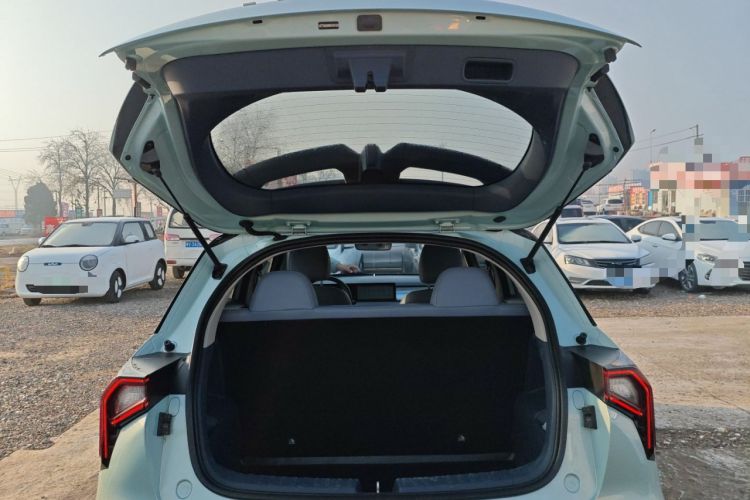 Used Geometry E Firefly 2022 401 km Linglong Tiger 4 Seats
